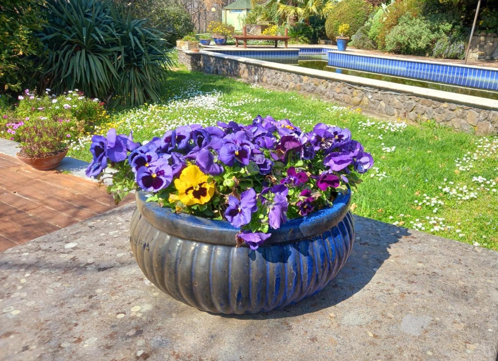 Bed and Breakfast La Chiesuola Bagnaia  Zewnętrze zdjęcie