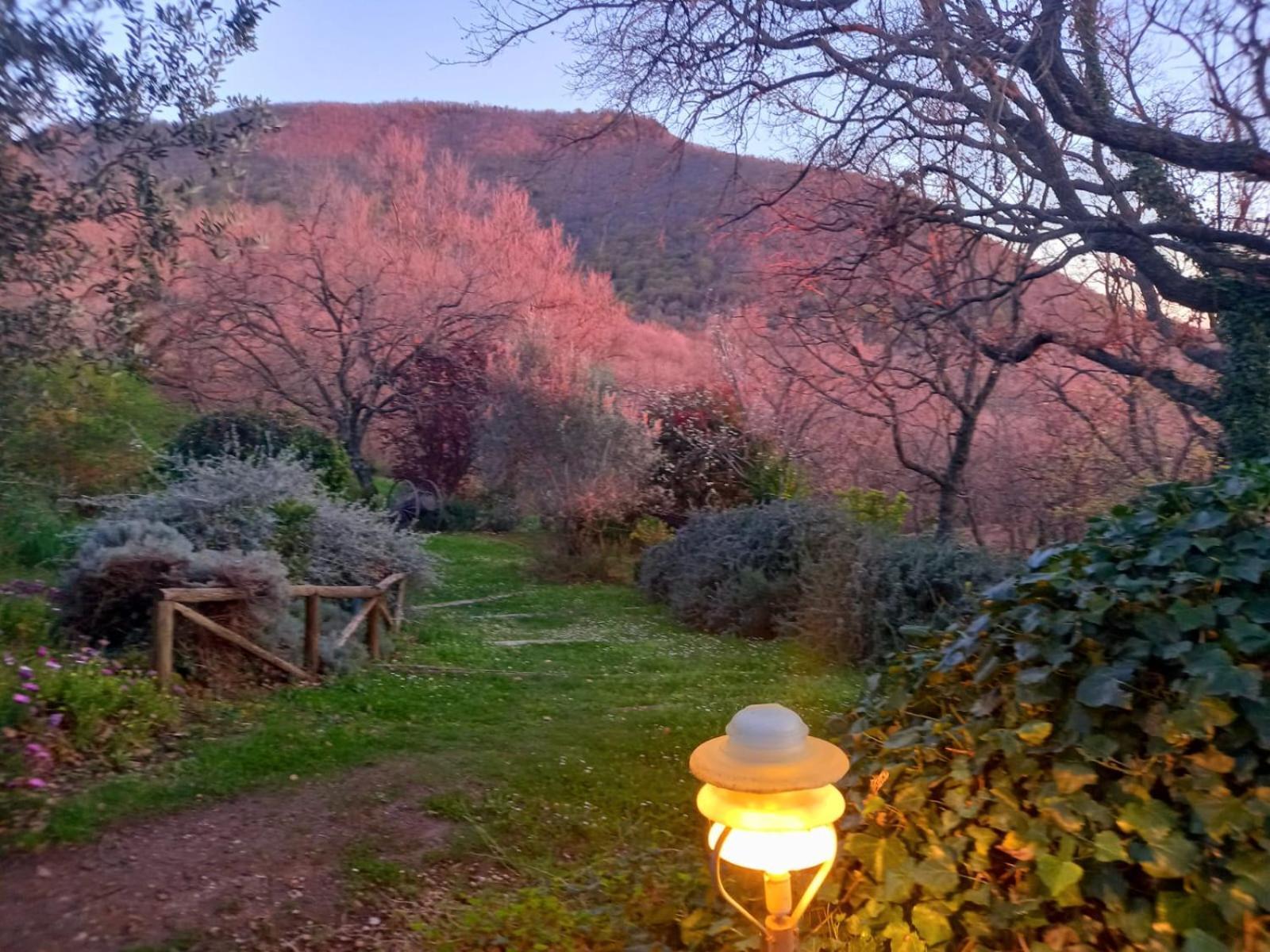 Bed and Breakfast La Chiesuola Bagnaia  Zewnętrze zdjęcie